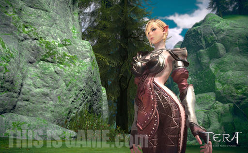 TERA: The Exiled Realm of Arborea - TERA: ощущения от системы non-target